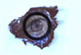 Main links