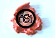 Main links